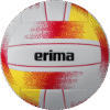 Ballon de Volley-ball