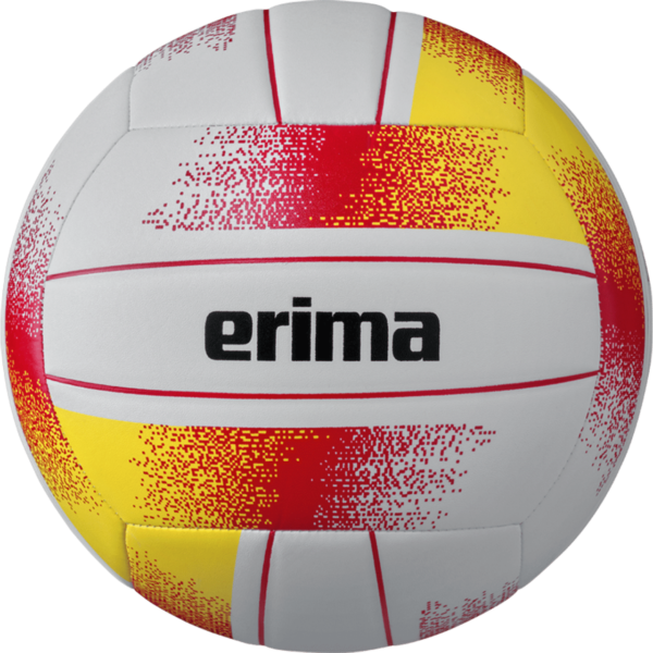 Ballon de Volley-ball