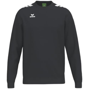 Sweatshirt CMPT 3 WINGS